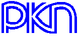 Logo - napis PKN